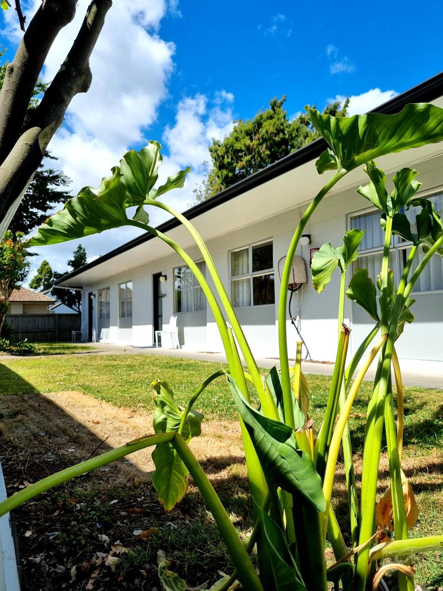 Cedar Lodge Motel Hamilton Ngoại thất bức ảnh